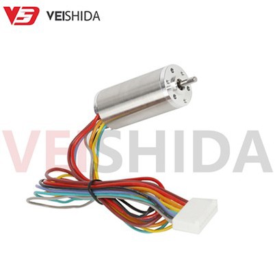 Micro Coreless DC Motor